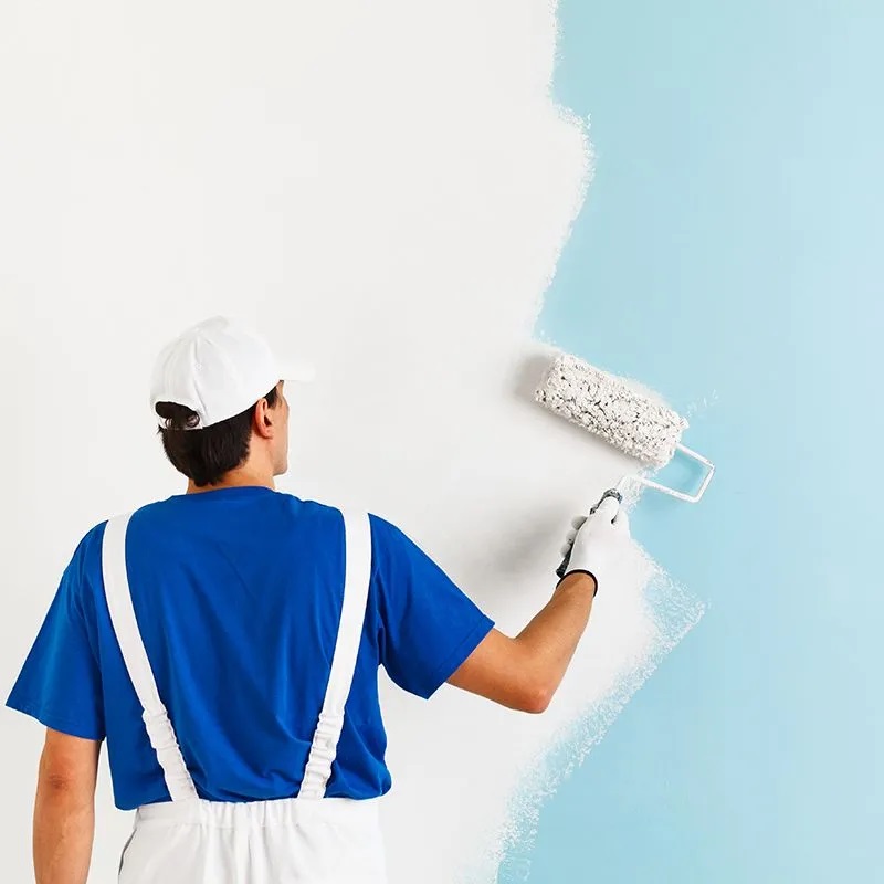 Erzene iç cephe boyama